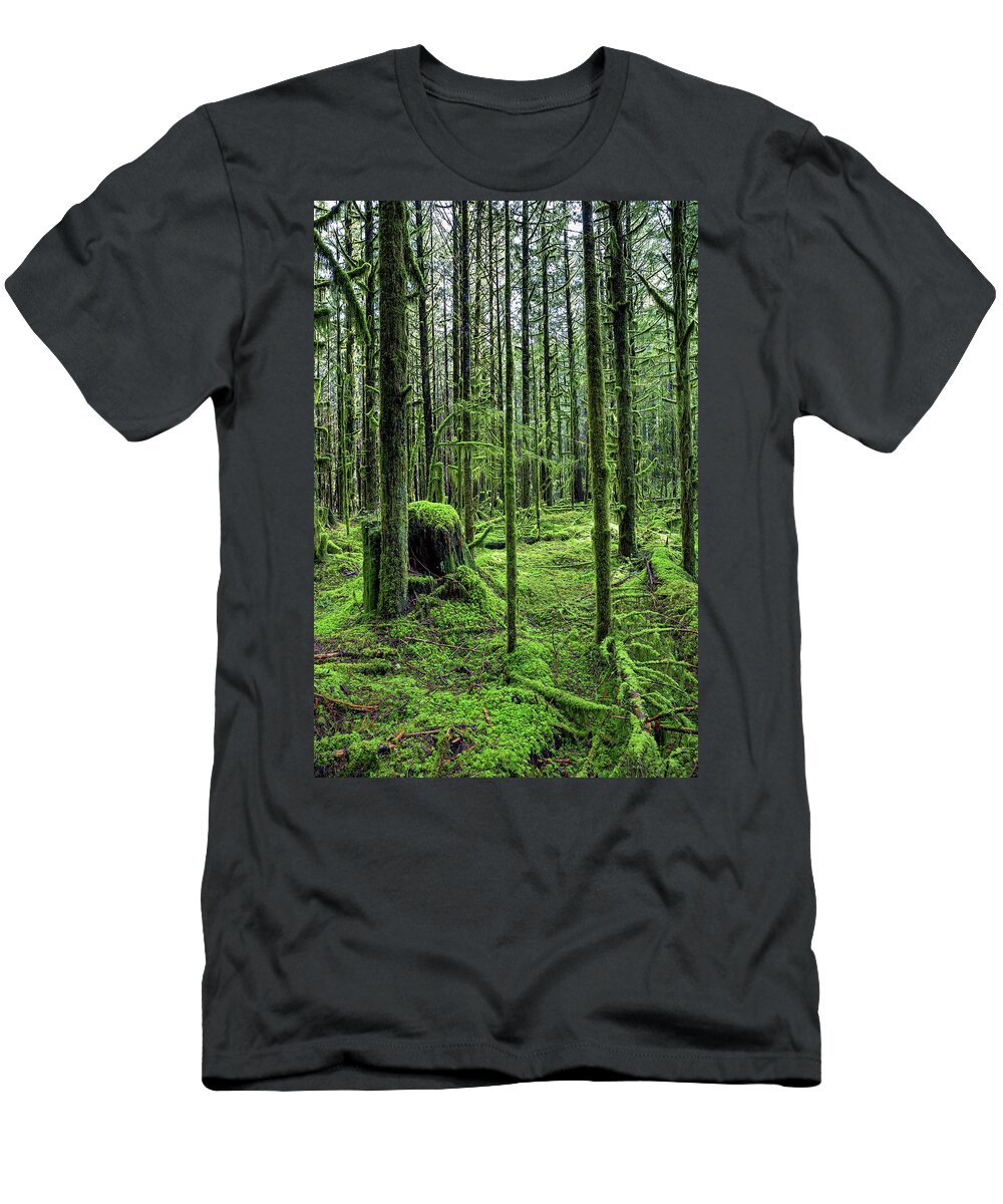 Alex Lyubar T-Shirt featuring the photograph The Magic forest by Alex Lyubar