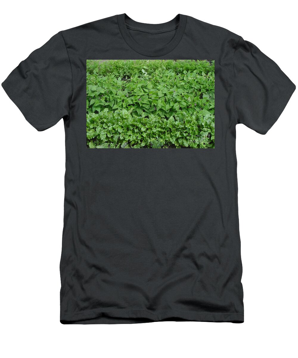 Garden T-Shirt featuring the photograph The Market Garden Landscape by Donna L Munro