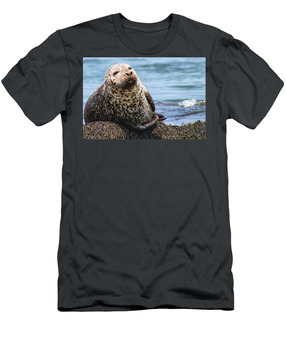 Seal T-Shirt featuring the photograph The Most Interesting Seal by Holly Ross