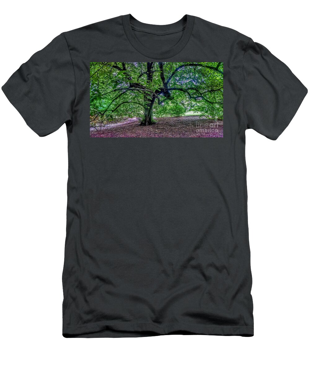 New Jersey T-Shirt featuring the photograph The Old Tree at Frelinghuysen Arboretum by Christopher Lotito