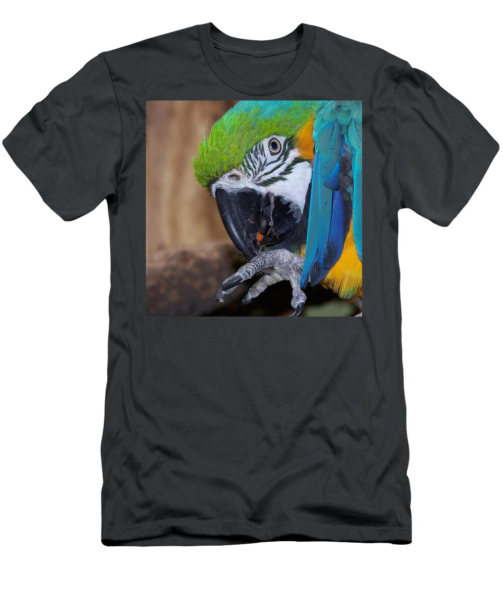 Animals T-Shirt featuring the photograph The Parrot by Ernest Echols