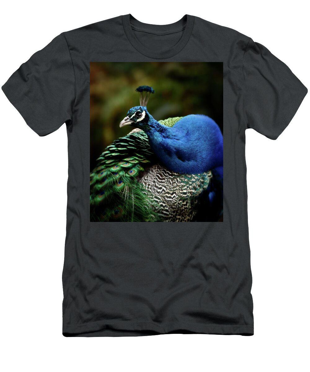 Peafowl T-Shirt featuring the photograph The Peacock - 365-320 by Inge Riis McDonald