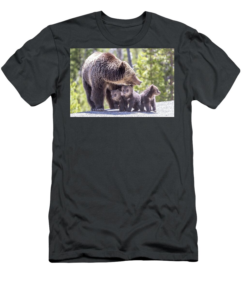 Yellowstone T-Shirt featuring the photograph The Protector by Kevin Dietrich