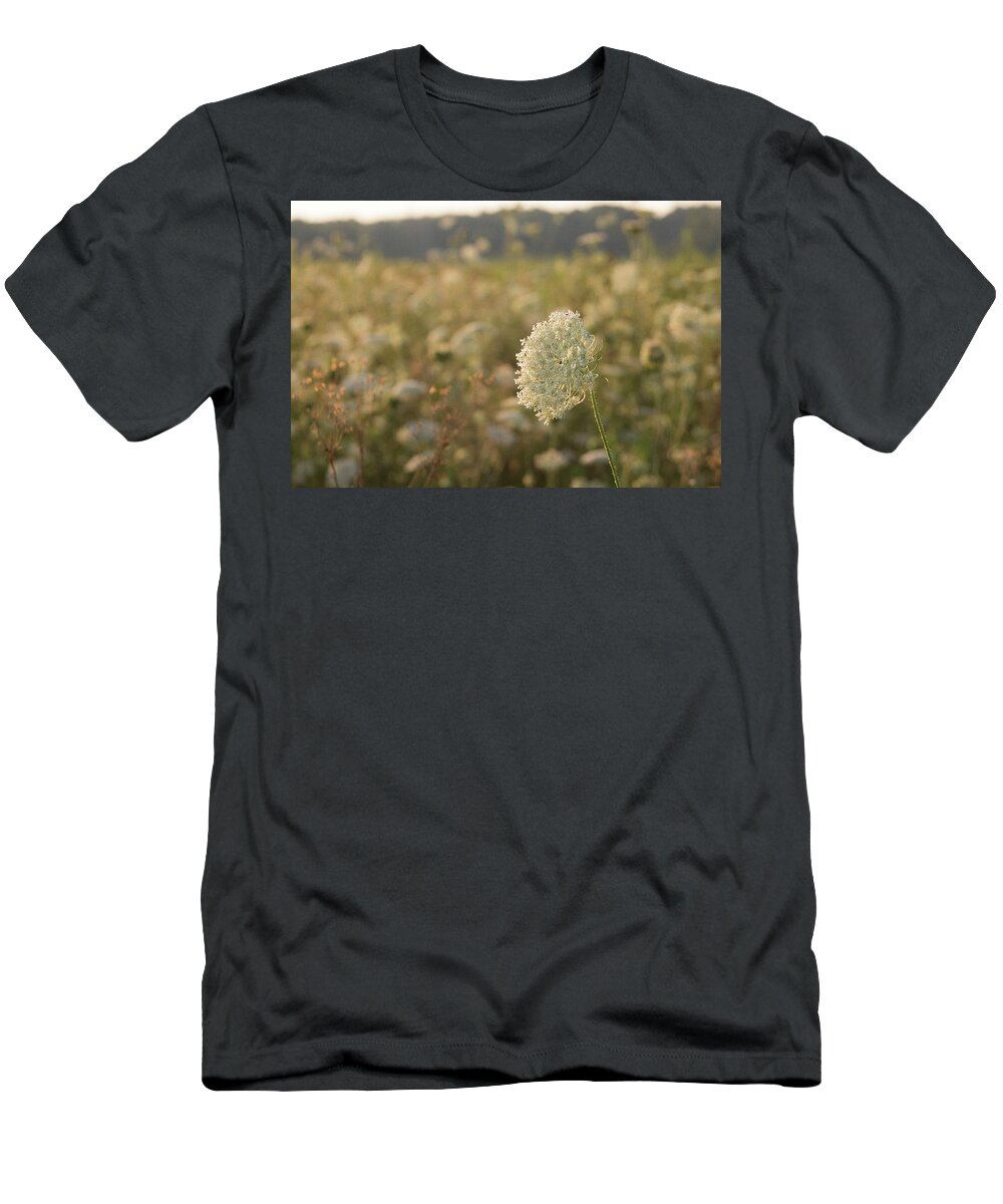 Queen Anne's Lace T-Shirt featuring the photograph The Queen of the Meadow by Bruce Patrick Smith