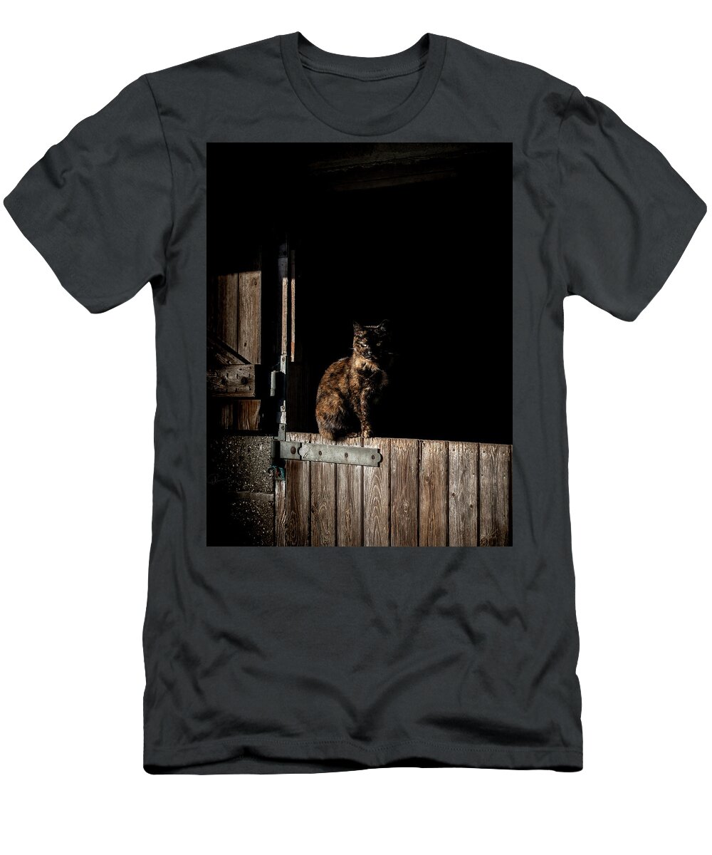 Cat T-Shirt featuring the photograph The Rat Catcher by Paul Neville
