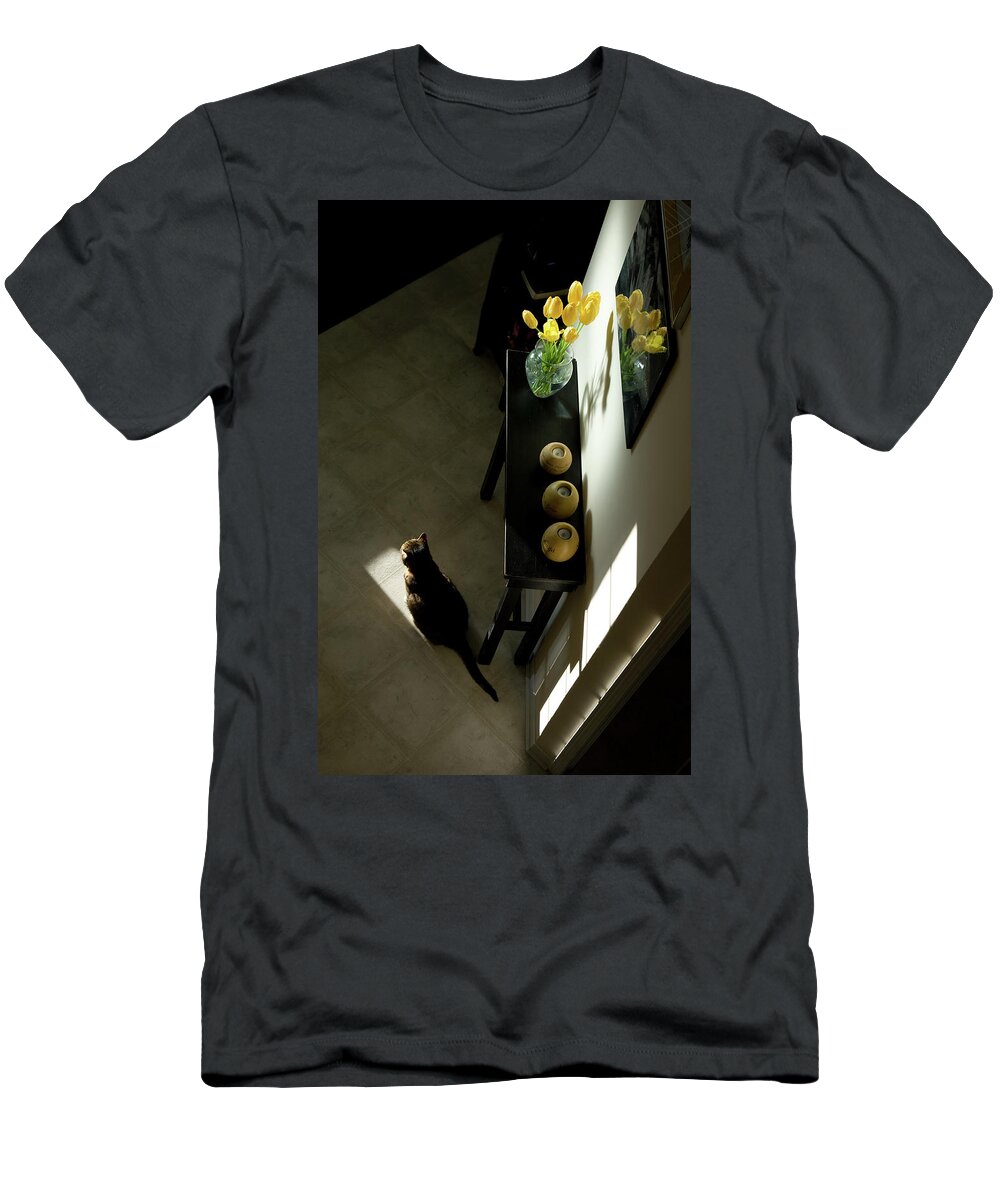 Cat T-Shirt featuring the photograph The Reception Hall by JGracey Stinson