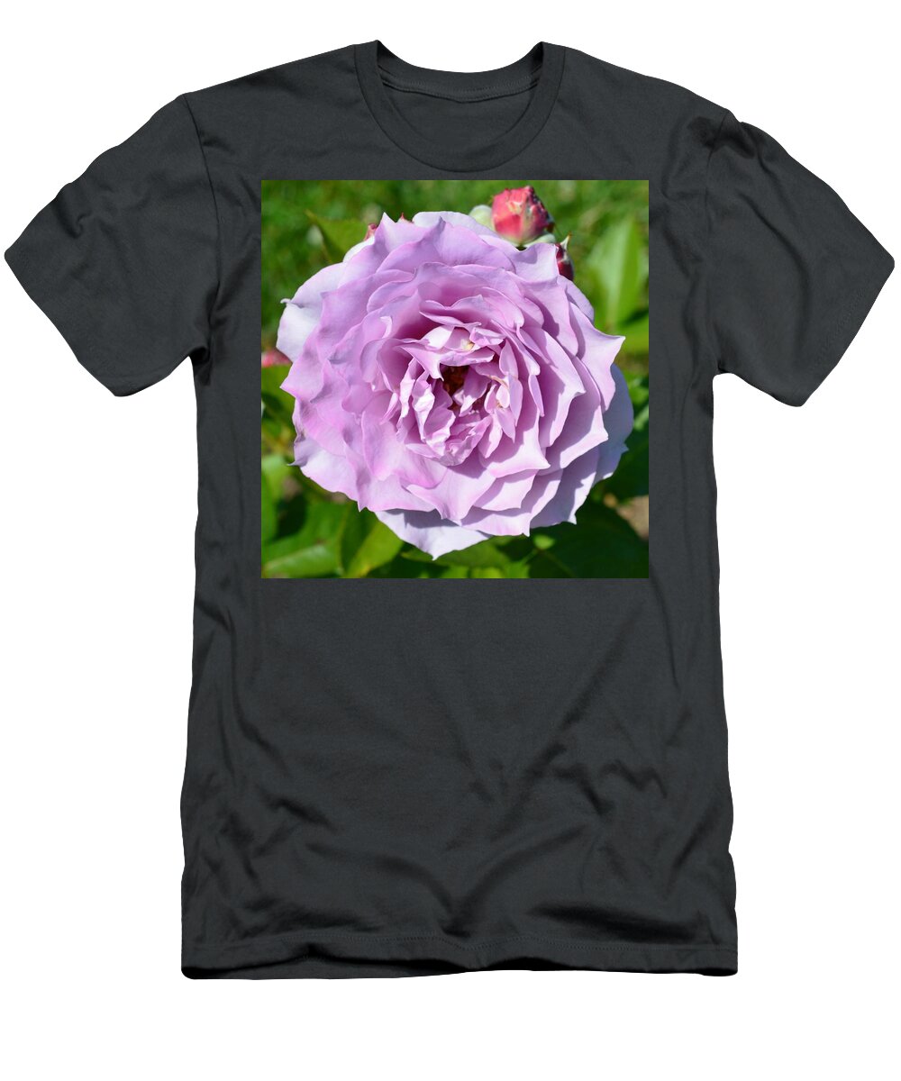 Flowers T-Shirt featuring the photograph The Rose by Charles HALL