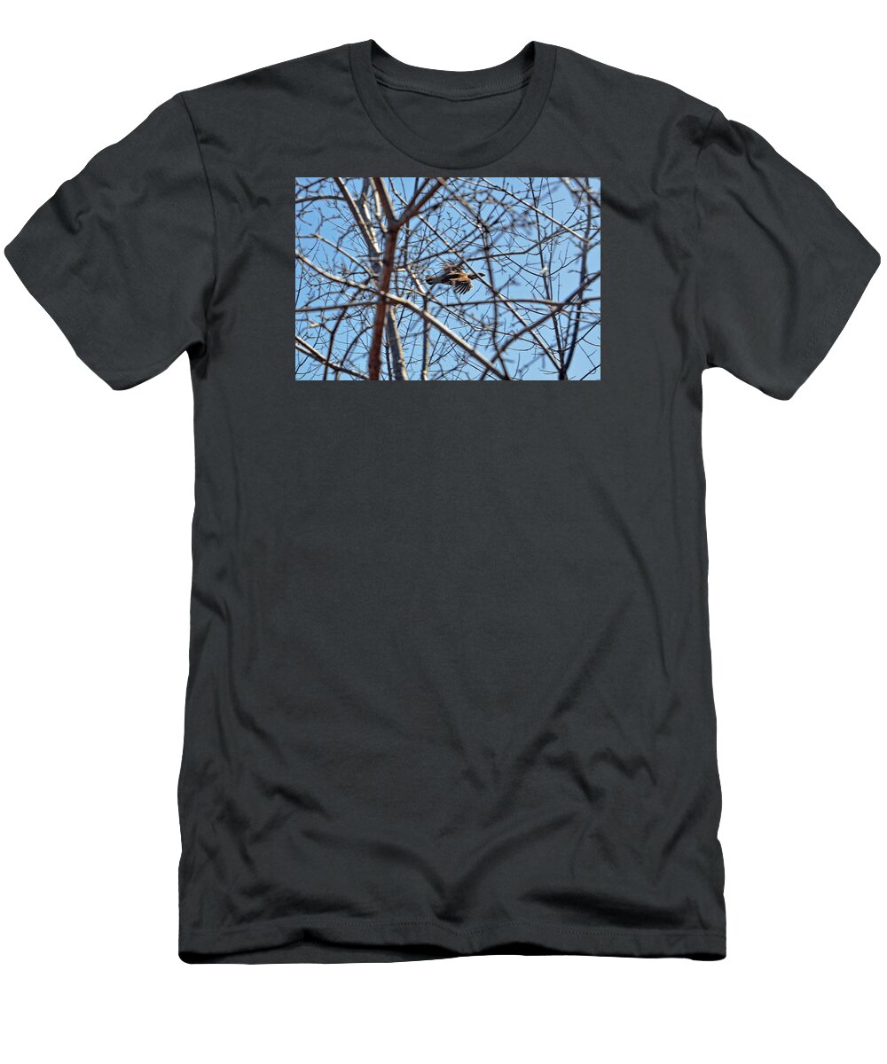 Ruffed Grouse T-Shirt featuring the photograph The Ruffed Grouse flying through trees and branches by Asbed Iskedjian