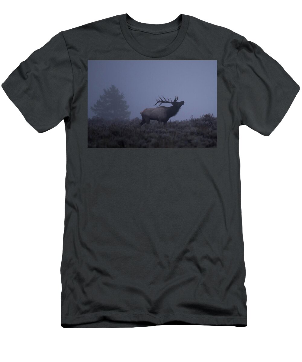 Elk T-Shirt featuring the photograph The Rut by Jody Partin