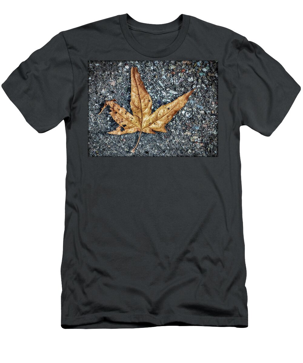 Leaves T-Shirt featuring the photograph The Simplest Things by Elaine Malott