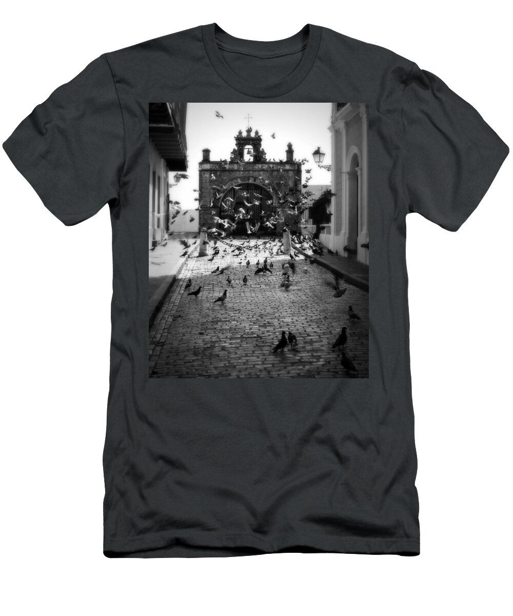 Pigeon T-Shirt featuring the photograph The Street Pigeons by Perry Webster