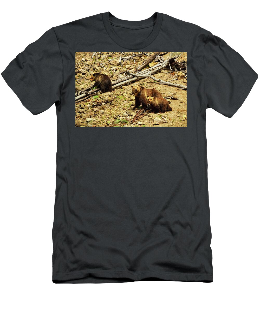 Grizzly Bear. Bears T-Shirt featuring the photograph The Three Bears by Greg Norrell