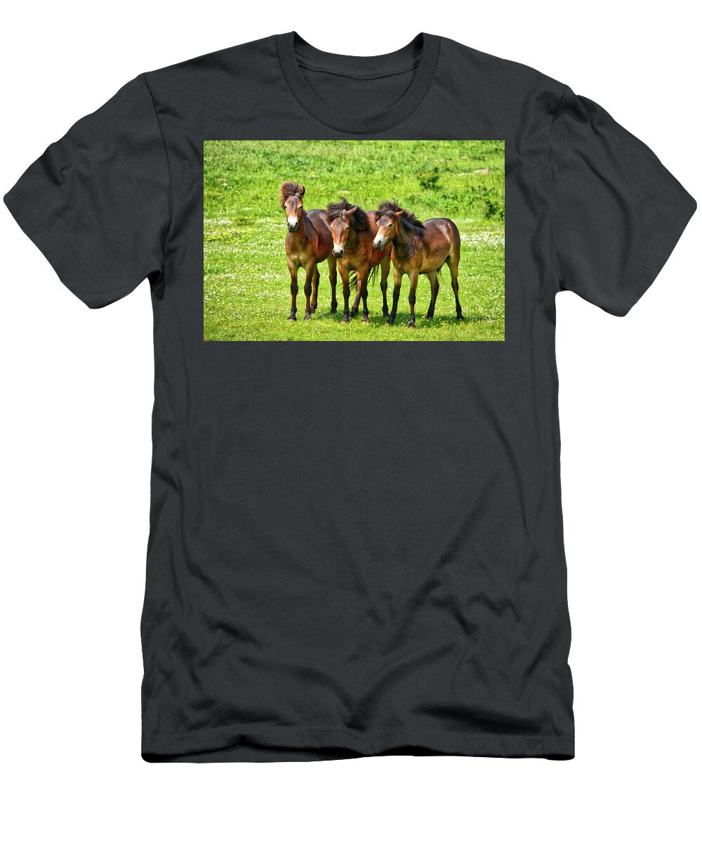 Animals T-Shirt featuring the photograph The trio 3 by Ingrid Dendievel