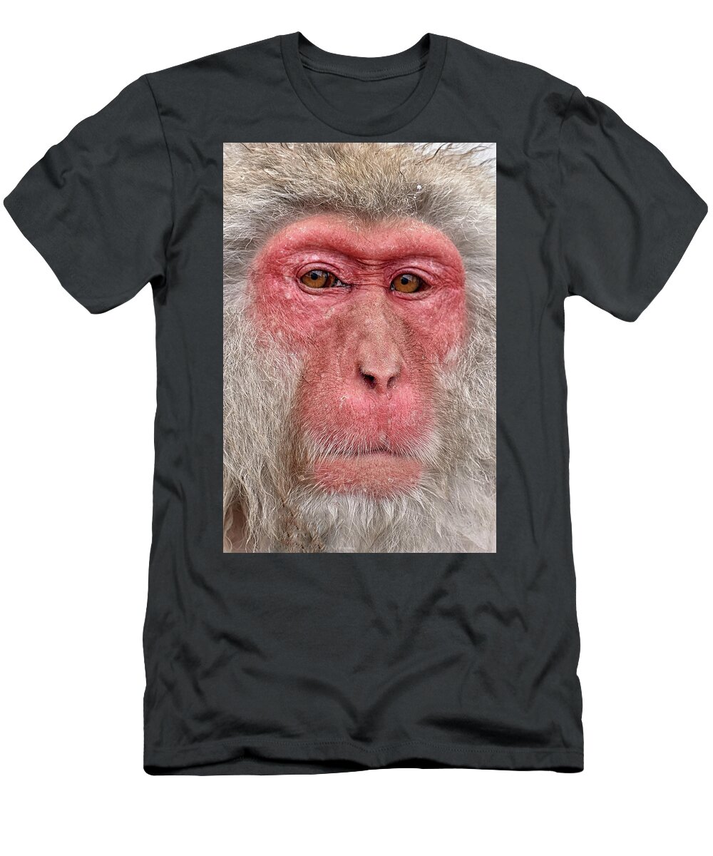 Wisdom T-Shirt featuring the photograph Wisdom by Kuni Photography