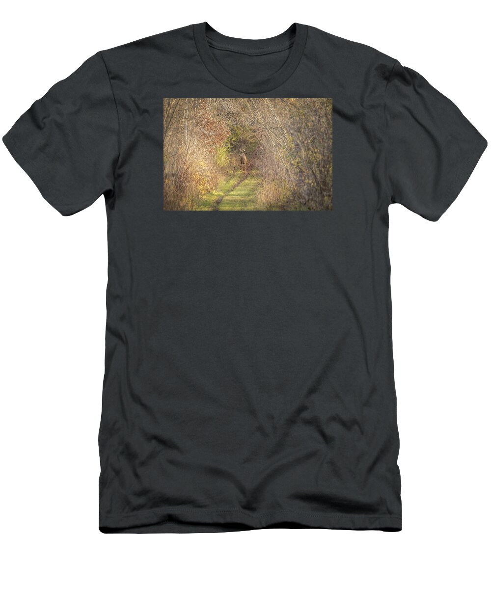 Whitetail Deer T-Shirt featuring the photograph There He Is 2015-2 by Thomas Young