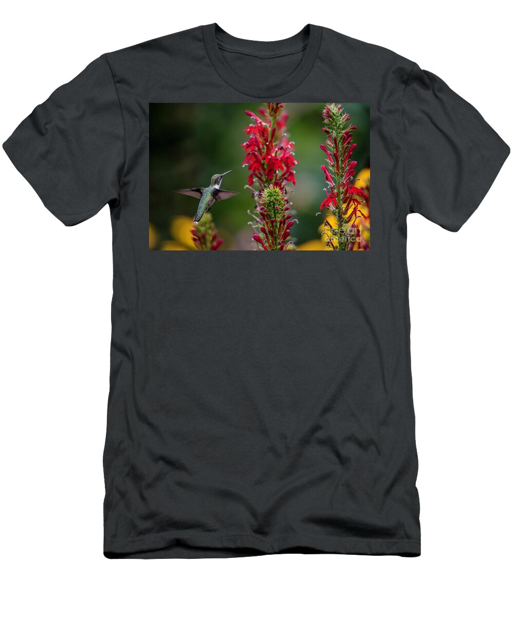 Hummingbird T-Shirt featuring the photograph They All Look Yummy by Judy Wolinsky