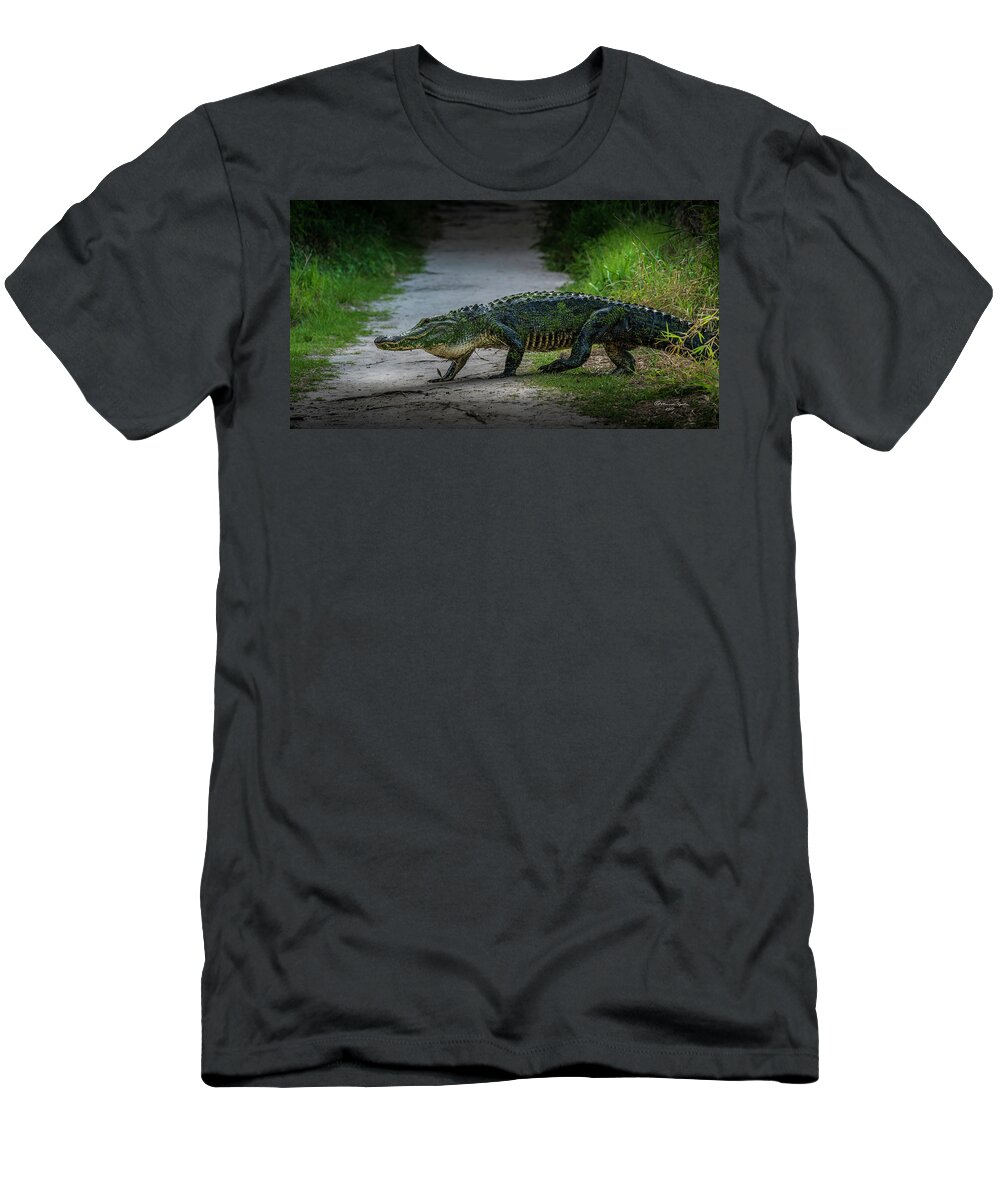 Alligator T-Shirt featuring the photograph This is My Trail by Marvin Spates