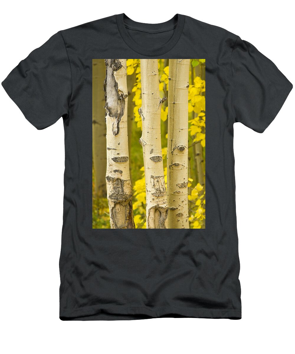 Autumn T-Shirt featuring the photograph Three Autumn Aspens by James BO Insogna