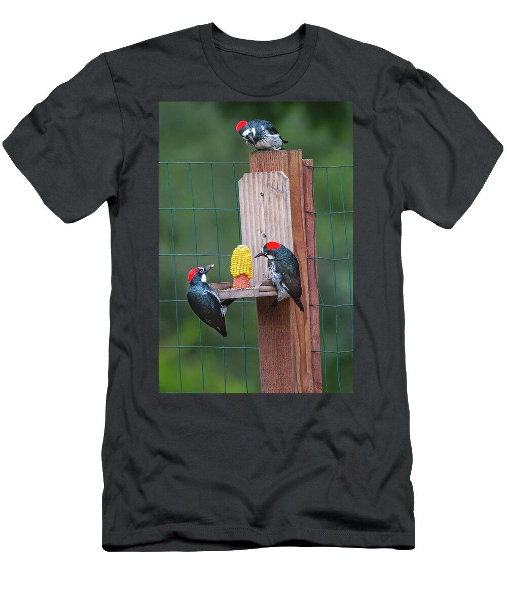 Mark Miller Photos T-Shirt featuring the photograph Three Backyard Woodpeckers by Mark Miller