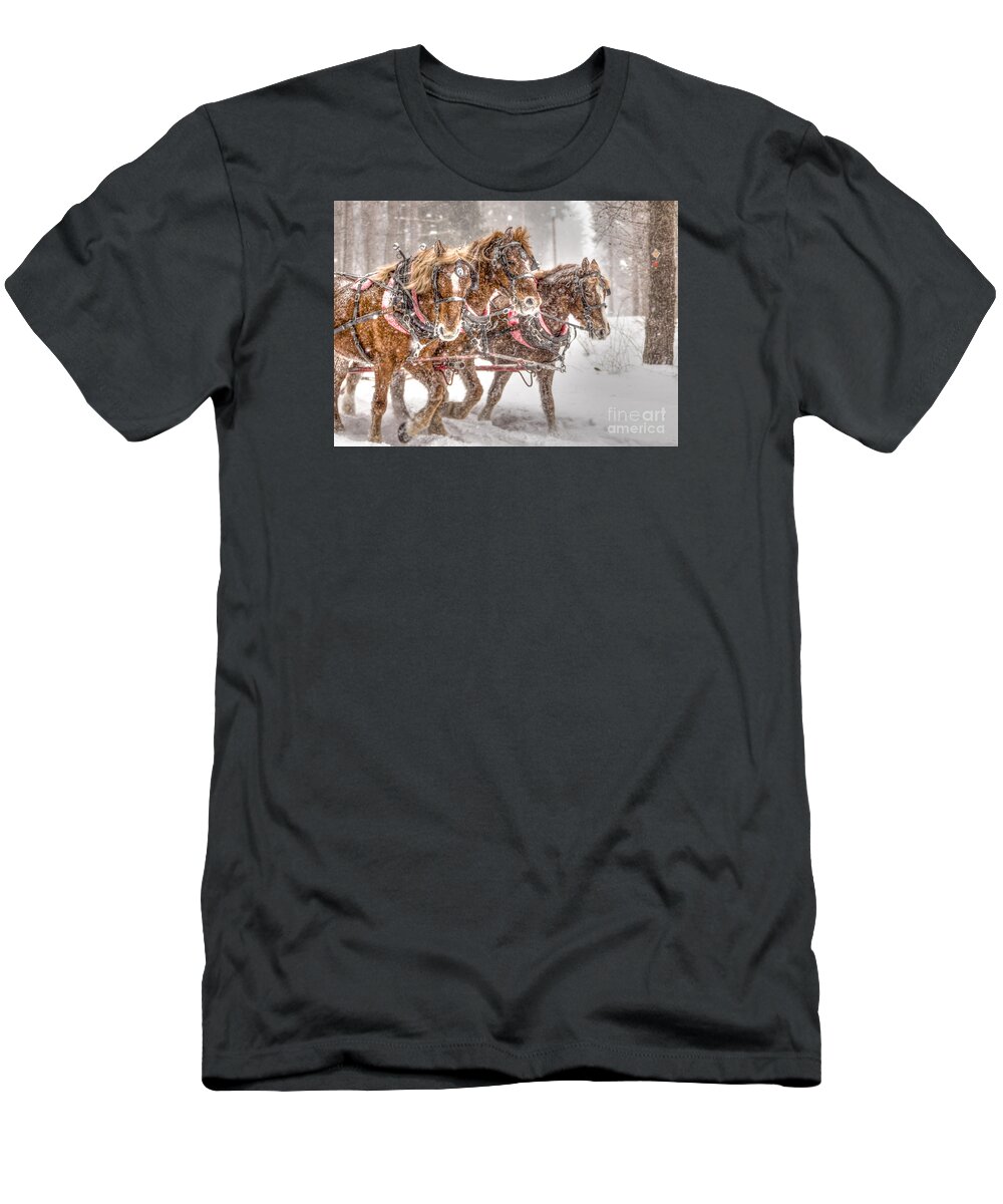 Horses T-Shirt featuring the photograph Three Horses - Color by Rod Best
