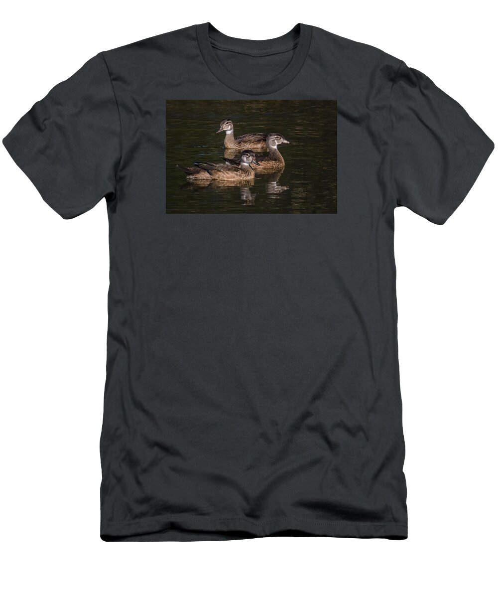 Duck T-Shirt featuring the photograph Three Wood ducks by Kevin Giannini