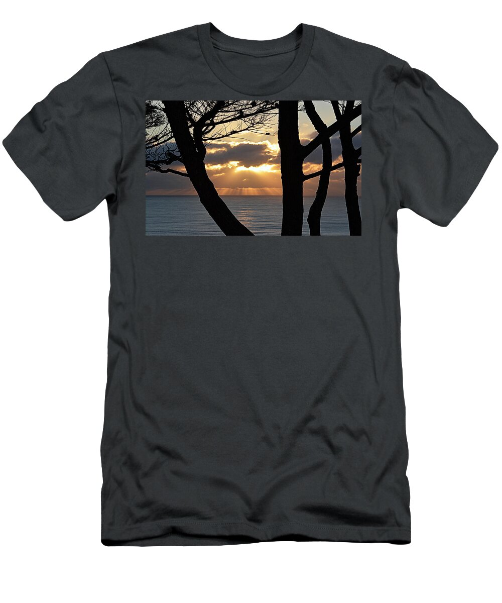 Scenic T-Shirt featuring the photograph Through the Trees by AJ Schibig