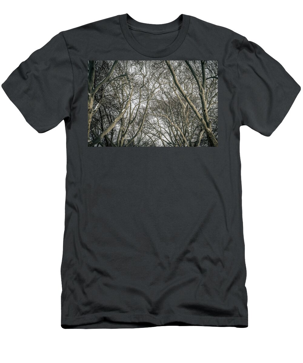 Trees T-Shirt featuring the photograph Through The Trees by Ray Sheley