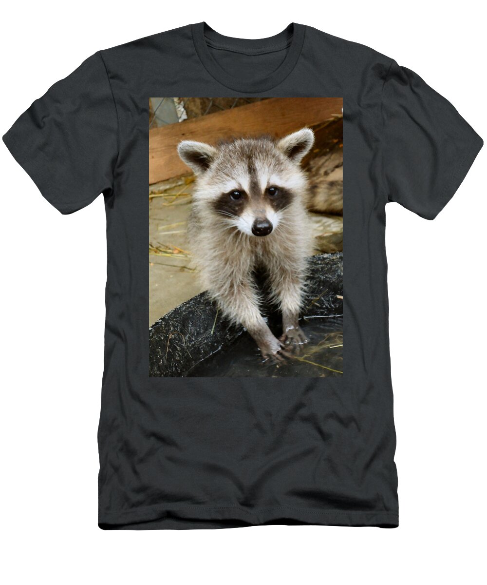 Raccoon T-Shirt featuring the photograph Tidy Up by Art Dingo