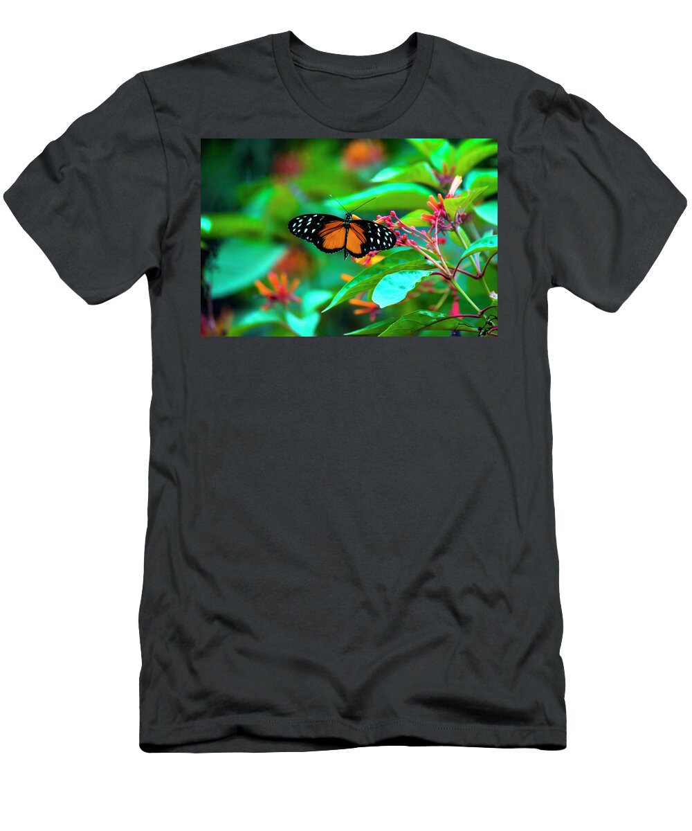 Tiger Longwing Butterfly T-Shirt featuring the photograph Tiger Longwing Butterfly by David Morefield
