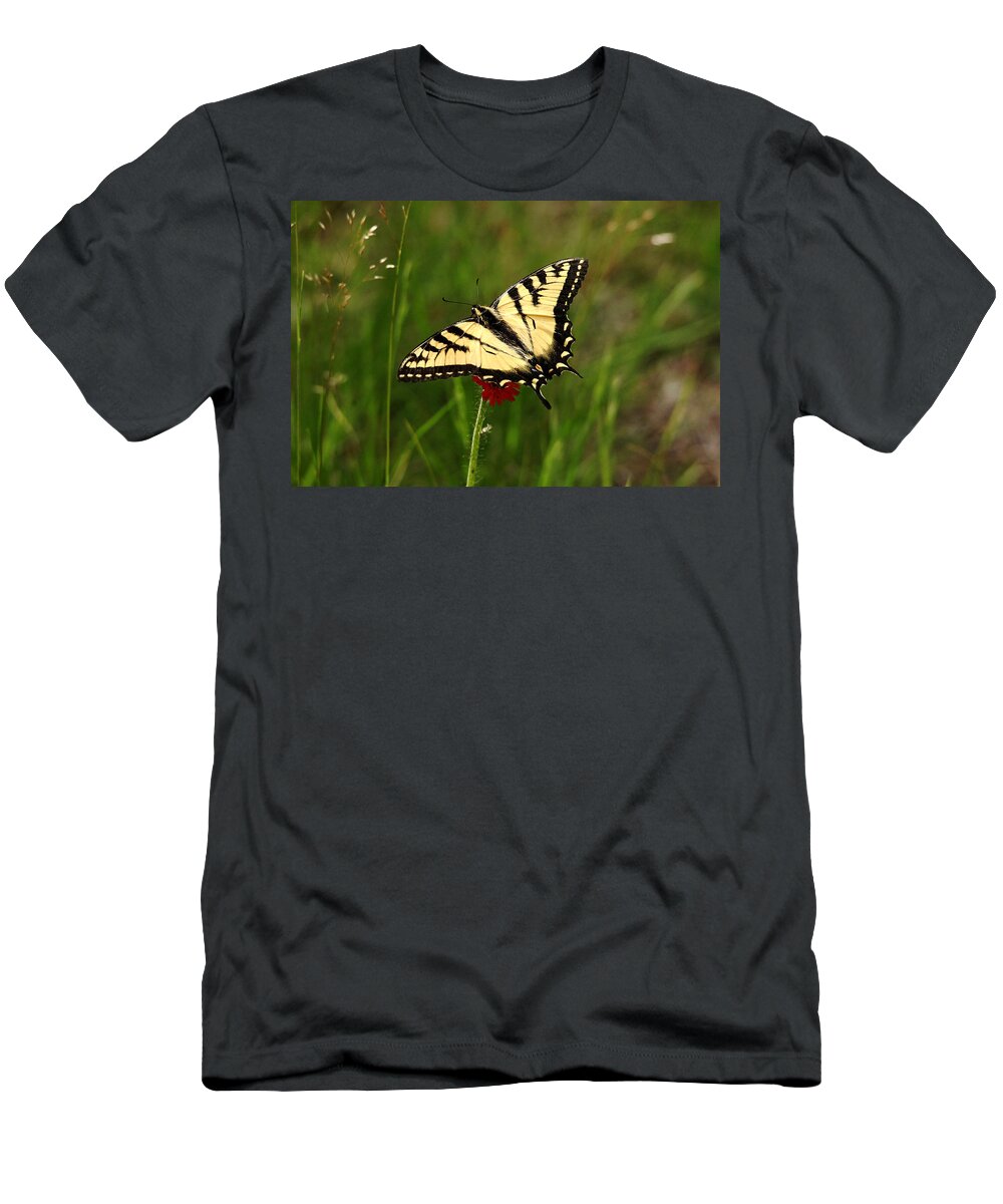 Canadian Tiger Swallowtail T-Shirt featuring the photograph Tiger Stripes by Debbie Oppermann