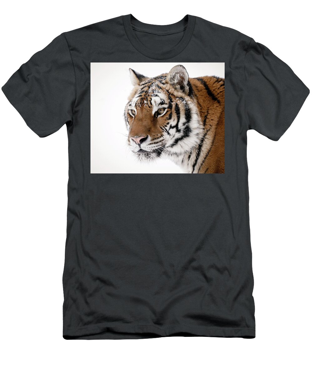 Tiger T-Shirt featuring the photograph Tiger Up Close by Athena Mckinzie