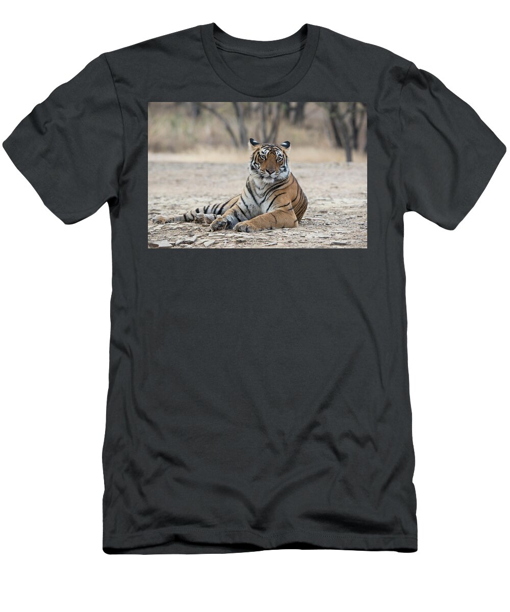 Animal T-Shirt featuring the photograph Tigress Arrowhead by Pravine Chester