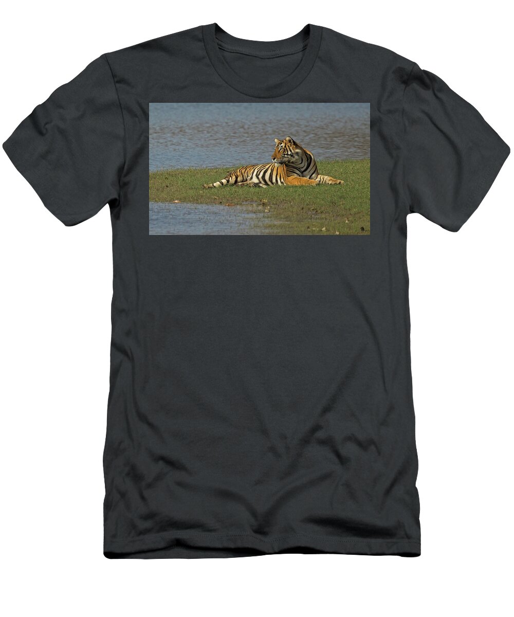 2017 T-Shirt featuring the photograph Tigress by Jean-Luc Baron