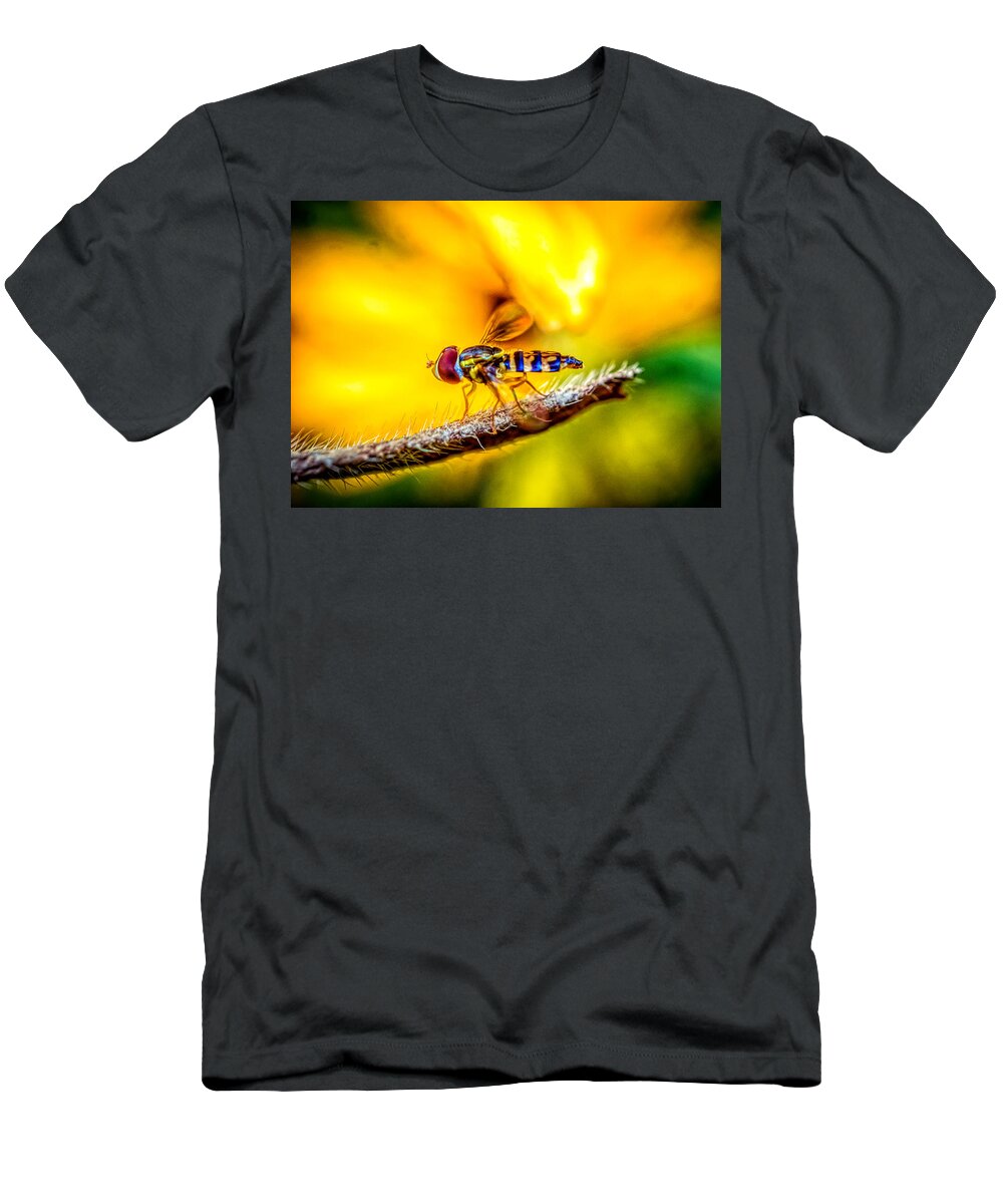 Tiny Cute Bee T-Shirt featuring the photograph Tiny cute bee by Lilia S