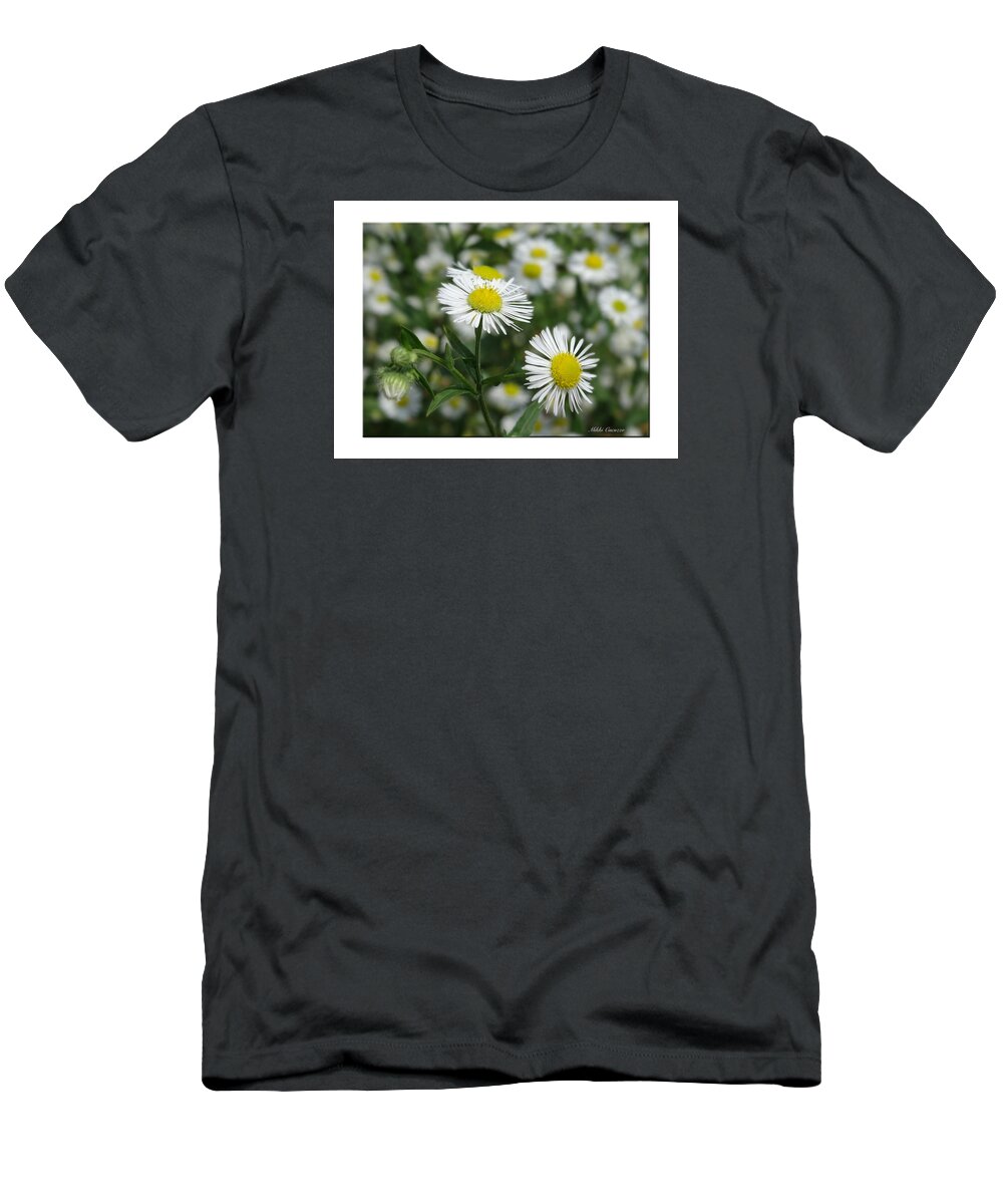 Floral T-Shirt featuring the photograph Tiny Flowers by Mikki Cucuzzo