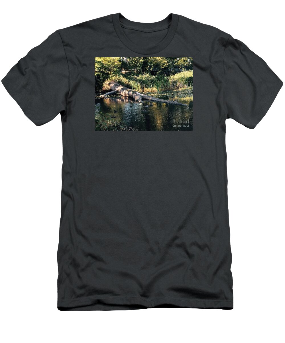 Tree T-Shirt featuring the photograph Tired Tree by LeLa Becker