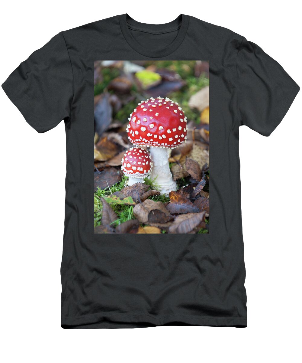 Helen Northcott T-Shirt featuring the photograph Toadstools in the Woods vi by Helen Jackson