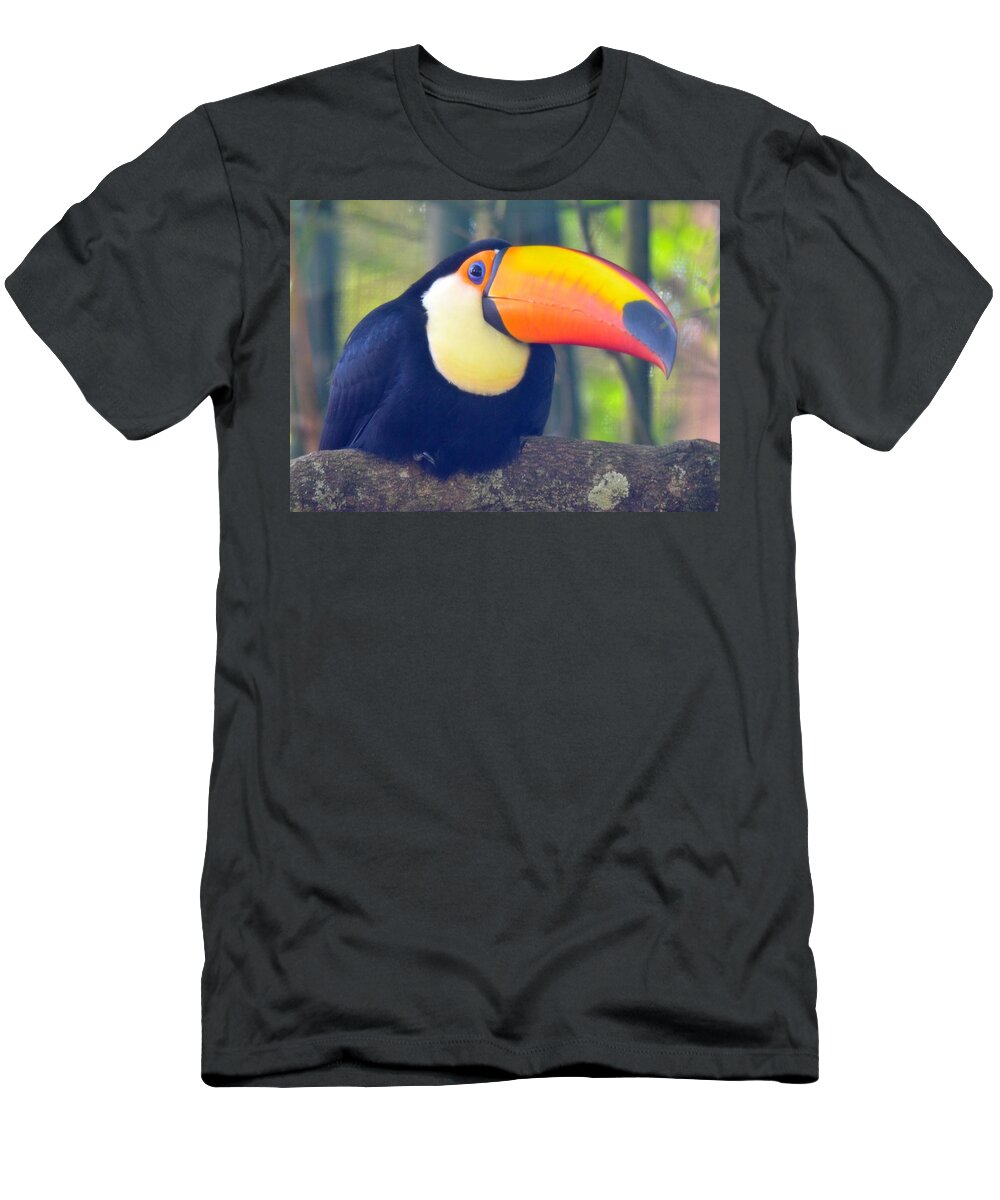 Alligator Farm T-Shirt featuring the photograph Toco Toucan by Richard Bryce and Family