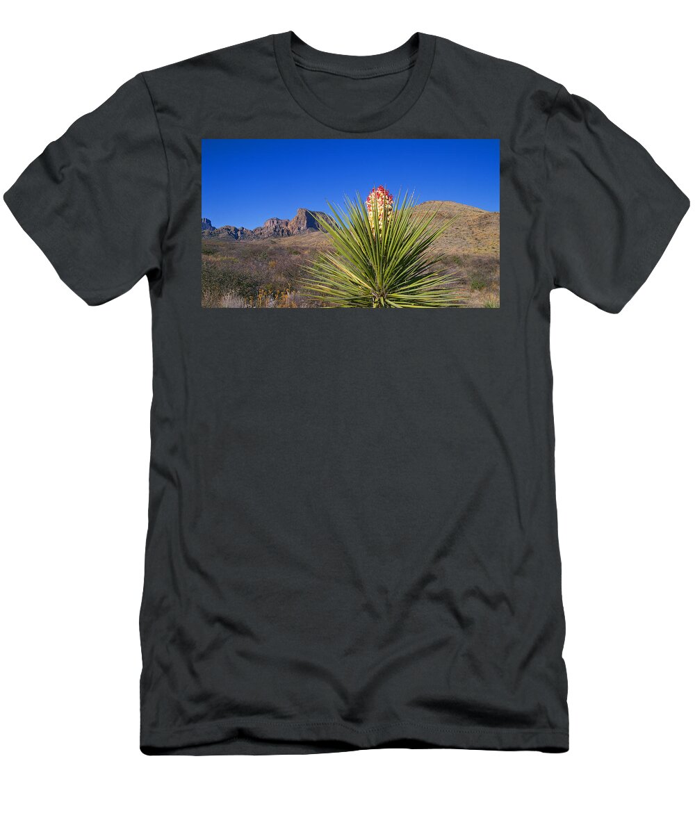Chisos Mountains T-Shirt featuring the photograph Torrey Yucca by Buddy Mays