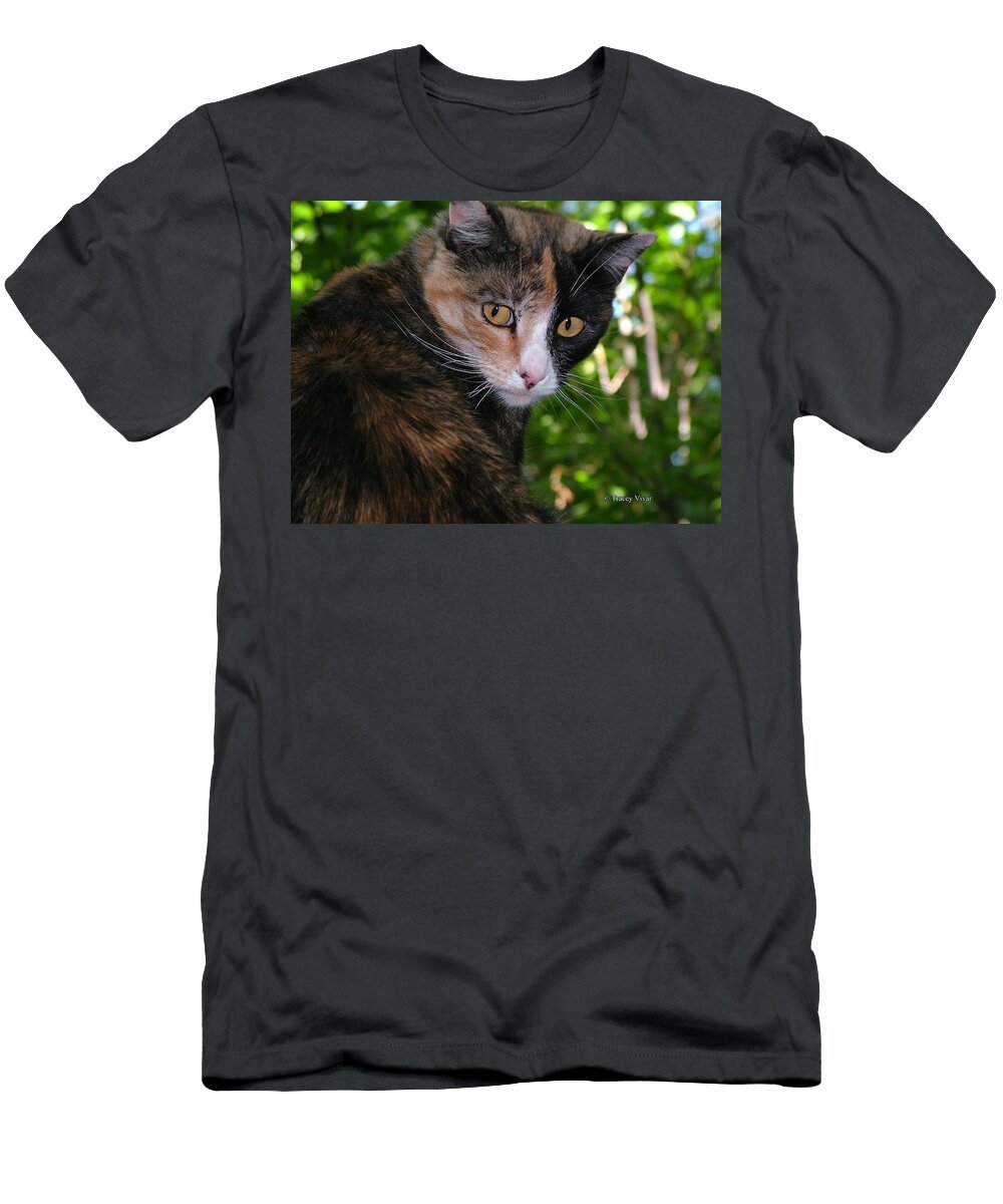 Cat T-Shirt featuring the photograph Tortie by Tracey Vivar