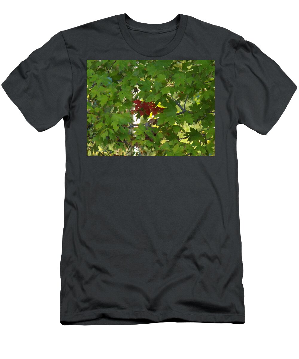 Fall T-Shirt featuring the photograph Touch of Red by Cindy Gray