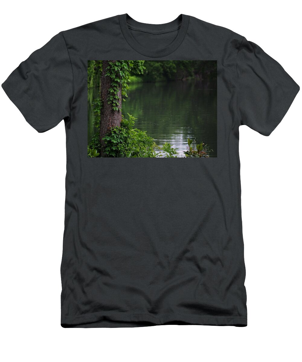 Tree T-Shirt featuring the photograph Tranquil View by Buck Buchanan
