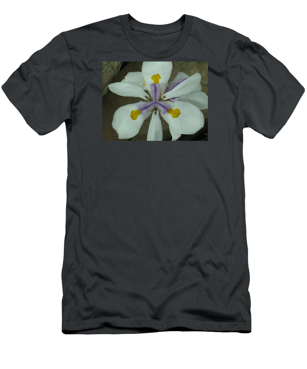  T-Shirt featuring the photograph Tre-lilly on limestone by Ron Monsour
