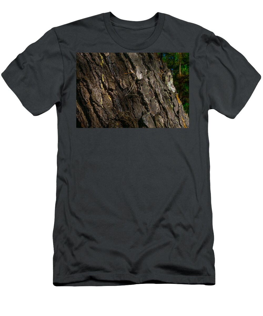 Pine Tree T-Shirt featuring the photograph Tree Bark Detail by Derek Dean