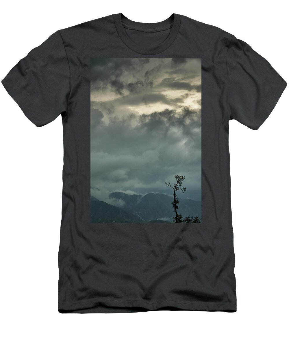 India T-Shirt featuring the photograph Tree. Bright Light by Rajiv Chopra