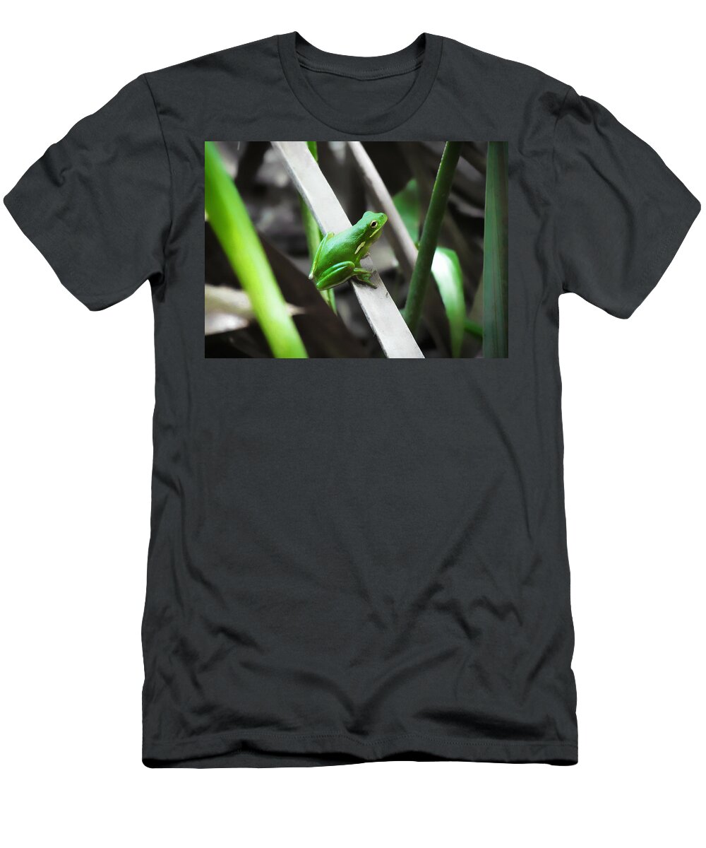 Wildlife T-Shirt featuring the photograph Tree Frog by Nathan Little