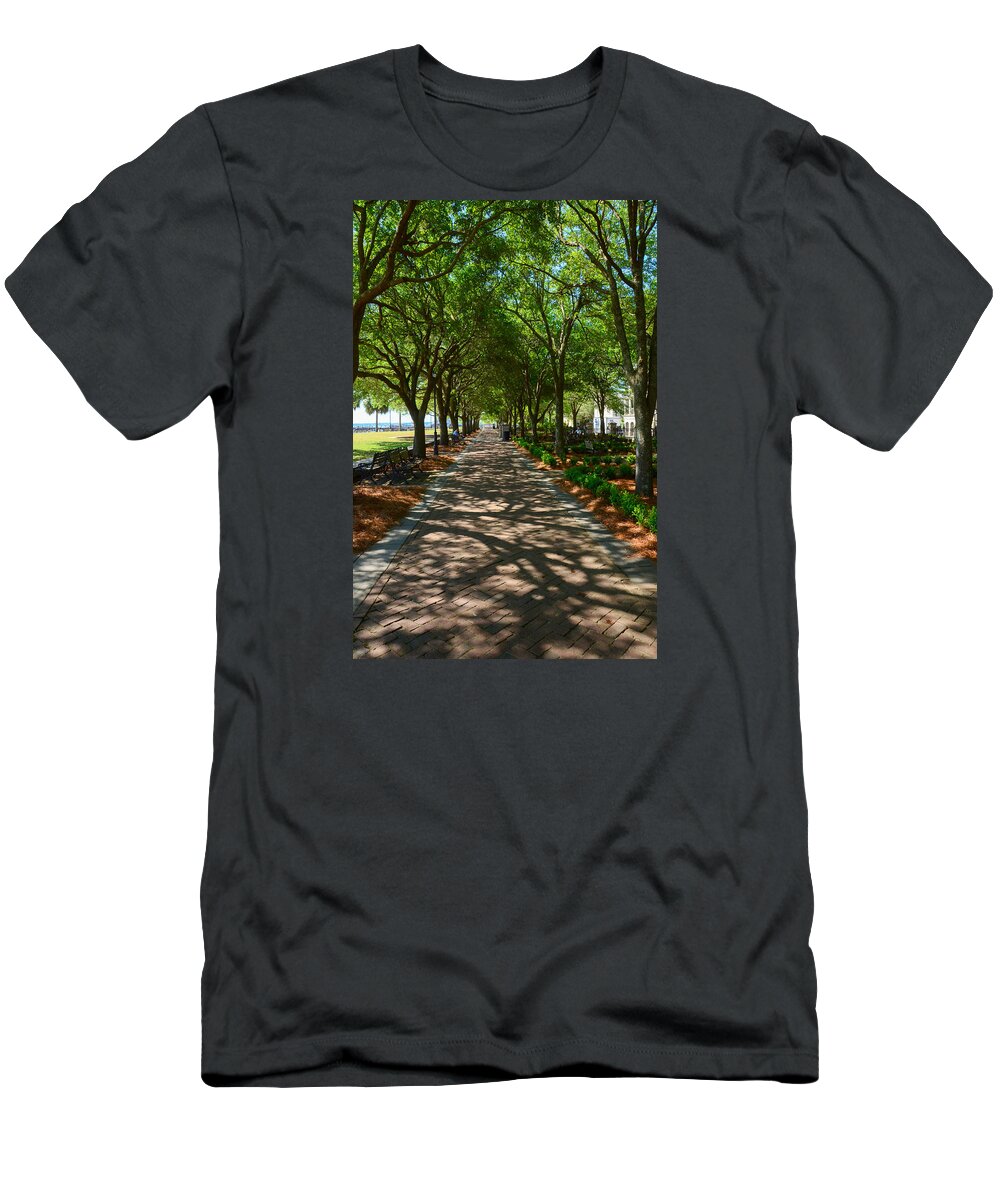 Tree T-Shirt featuring the photograph Tree Lined Path by Debra Martz