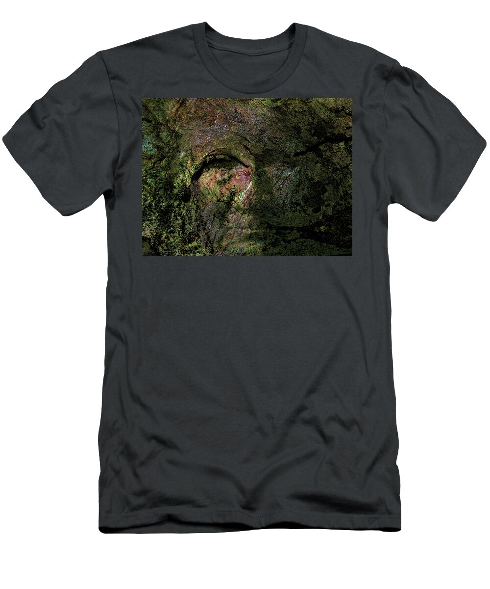 Trees T-Shirt featuring the photograph Tree Memories # 18 by Ed Hall