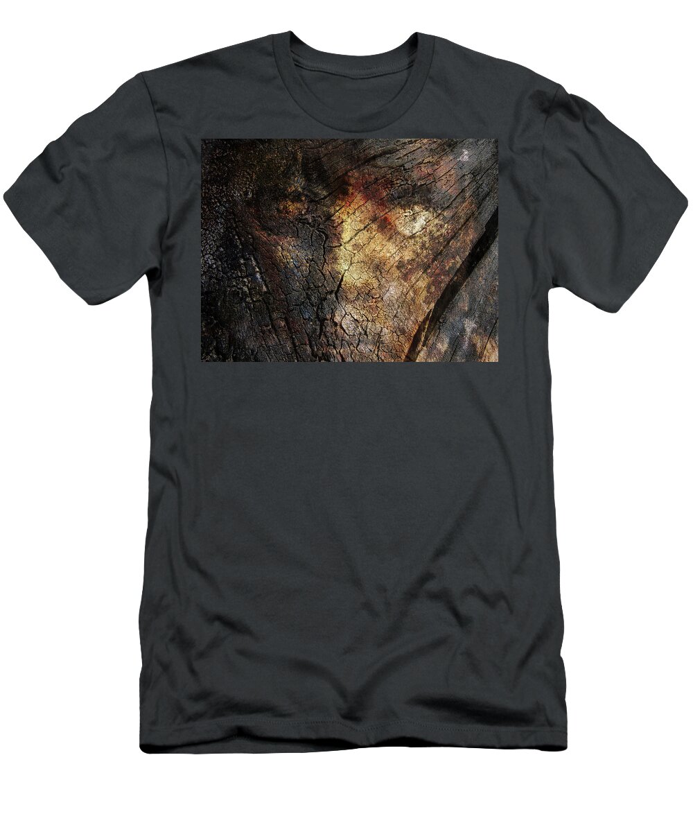 Trees T-Shirt featuring the photograph Tree Memories # 21 by Ed Hall