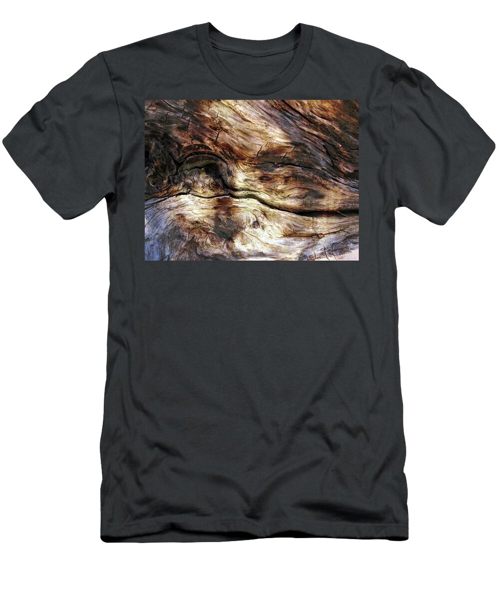 Trees T-Shirt featuring the photograph Tree Memories # 30 by Ed Hall